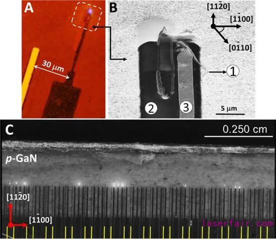ͼʽ LED غйѧͼԴScience Advances