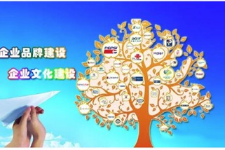 ҵƷսԹ滮ҪЩʵ